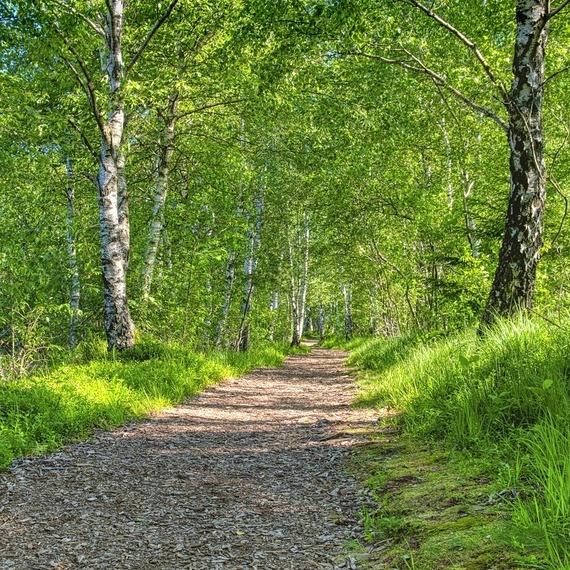 Un Chemin pour un Coeur