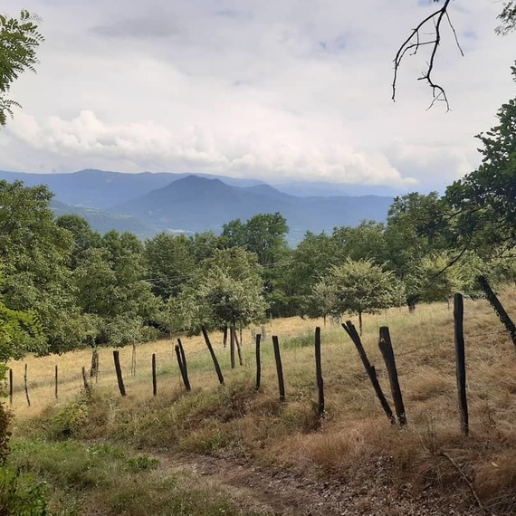 Du coeur des montagnes à celui-ci d&#39;un enfant : L&#39;Alpi Renait